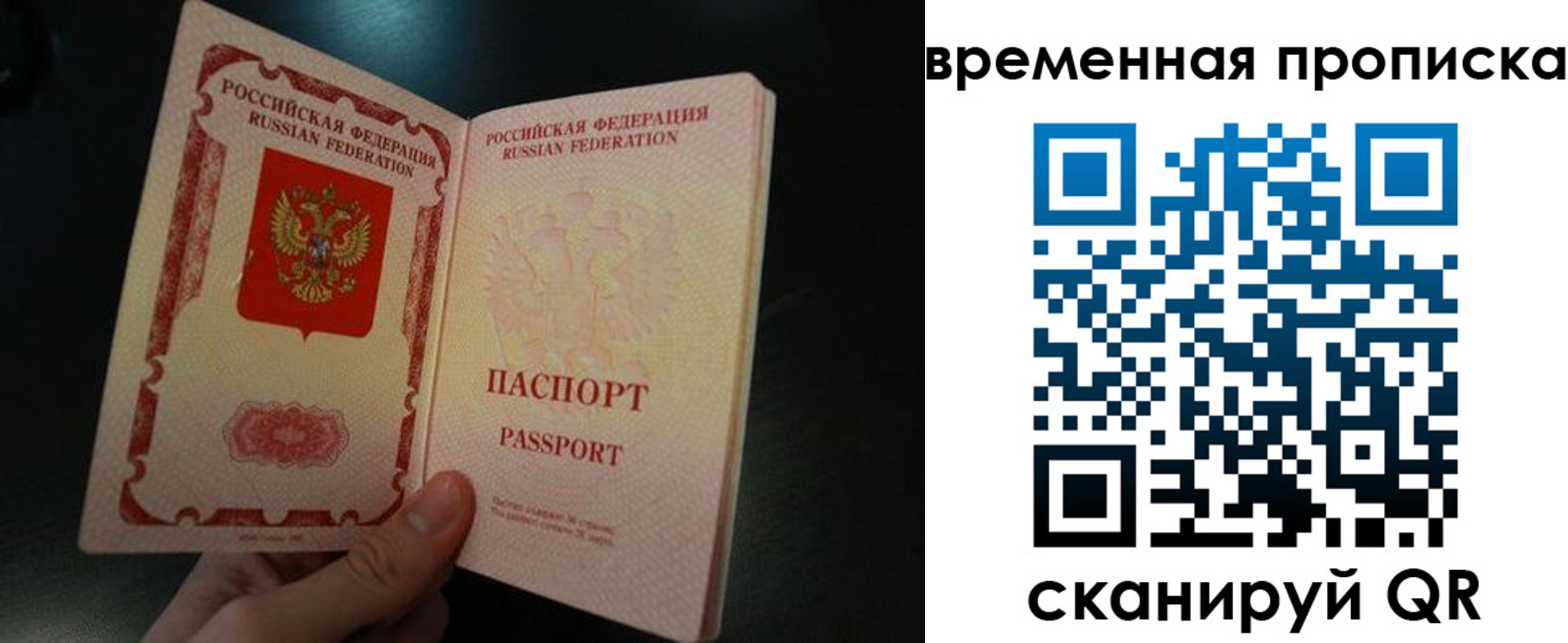 временная регистрация гарантия в Оленегорске