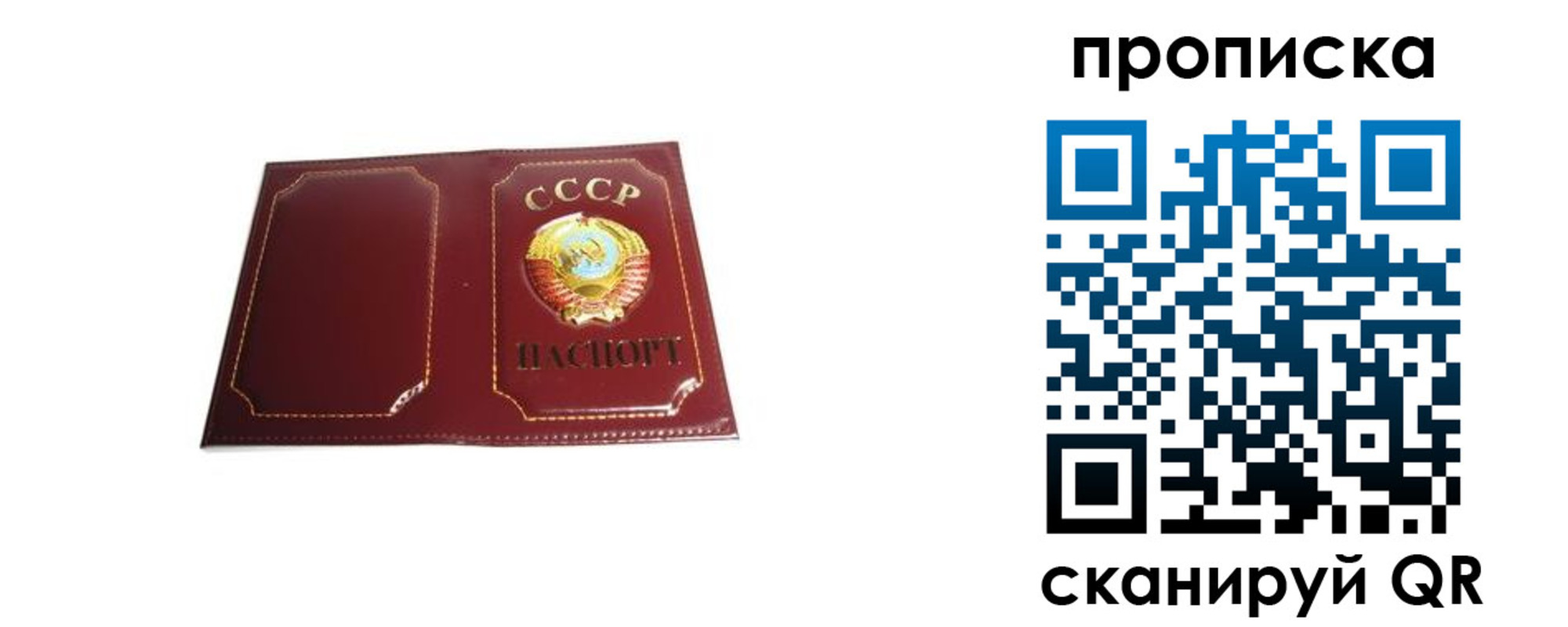 прописка гарантия в Оленегорске